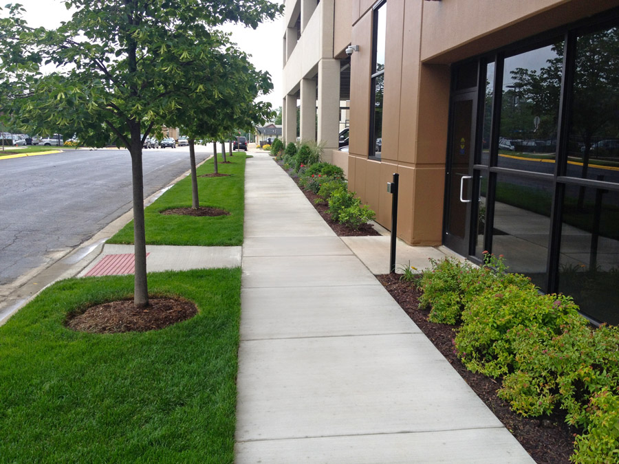 CTCA-IMG_1886 Well-maintained sidewalk alongside a building, featuring trees and lush greenery, enhancing urban infrastructure and aesthetics.