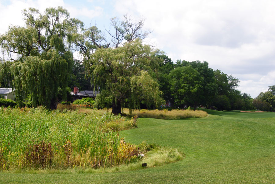 GPGC-Native-planted-Basin_web Lush green park area featuring tall grasses and trees alongside a gently sloping terrain.