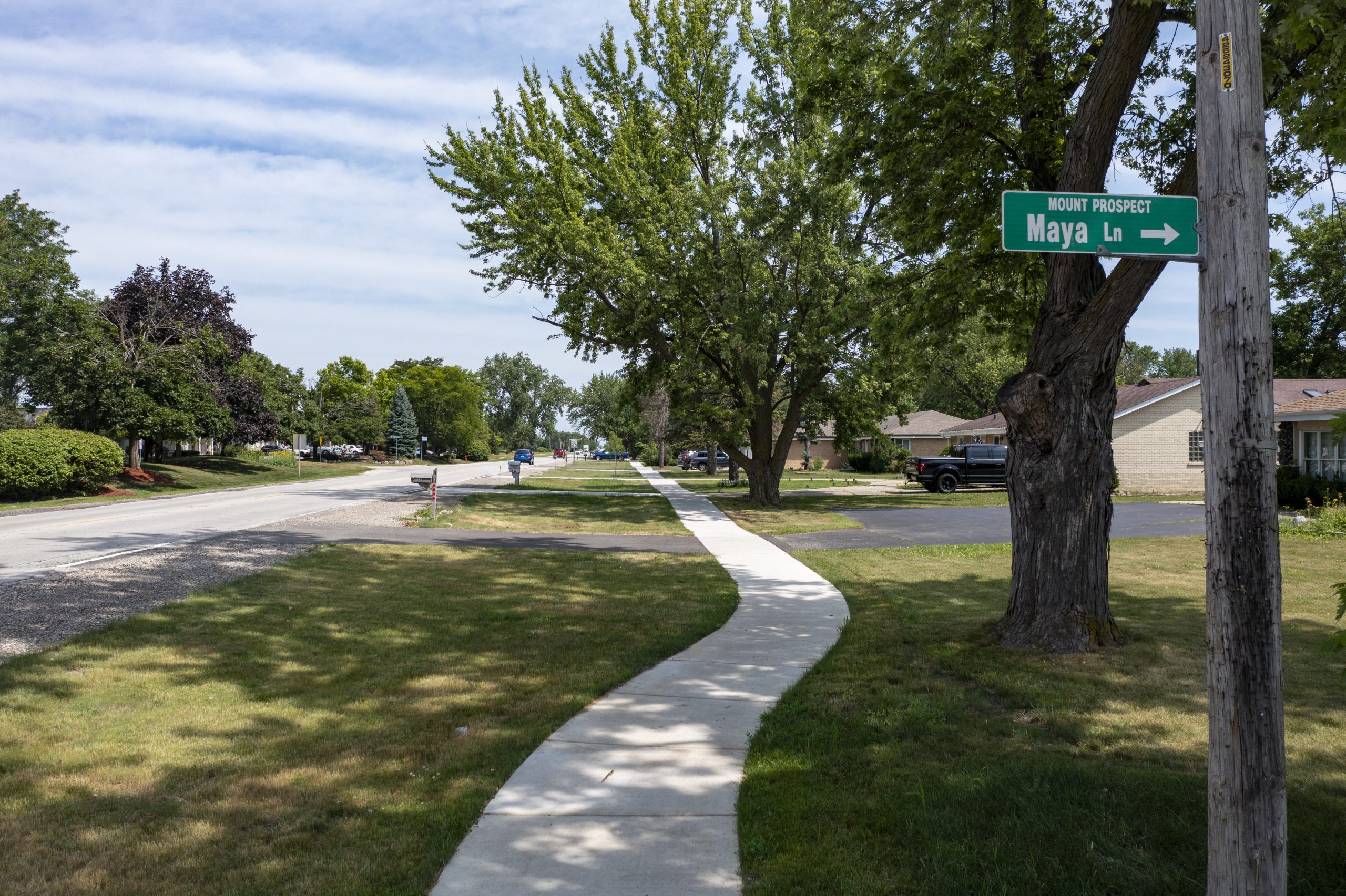 Wolf Rd-2 Concrete sidewalk lined with trees, leading to a residential area, with a street sign indicating "Maya Ln" to the right.