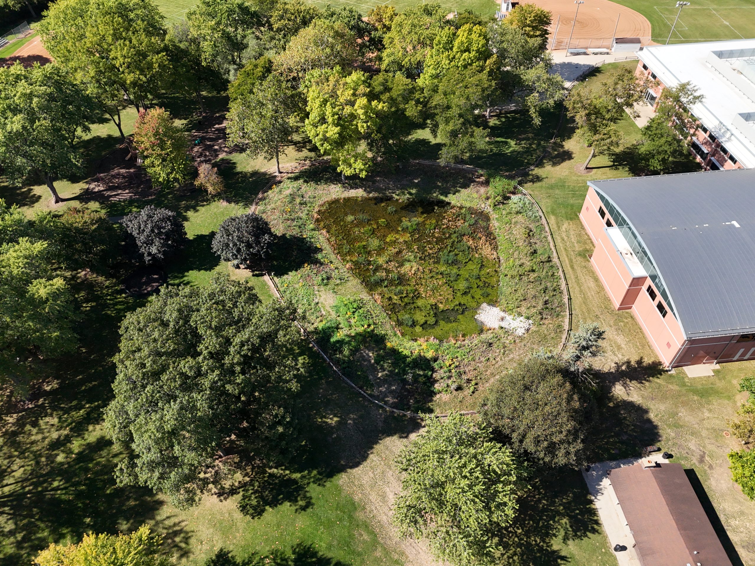 default Aerial view of a landscaped park featuring a green infrastructure pond, surrounded by trees and adjacent to a building.