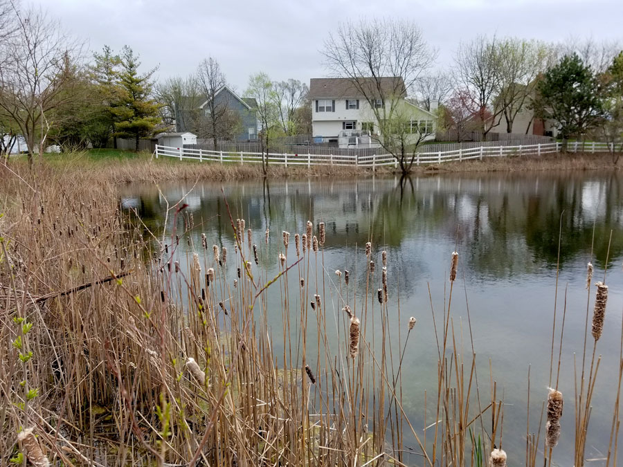 20180504_101056-Web